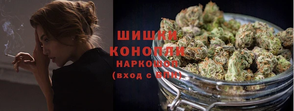 МДПВ Краснослободск