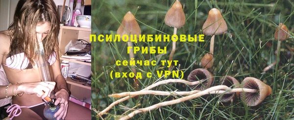 гидропоника Краснотурьинск