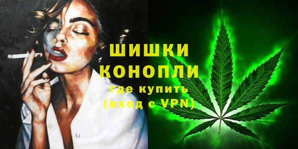 крисы Красноперекопск